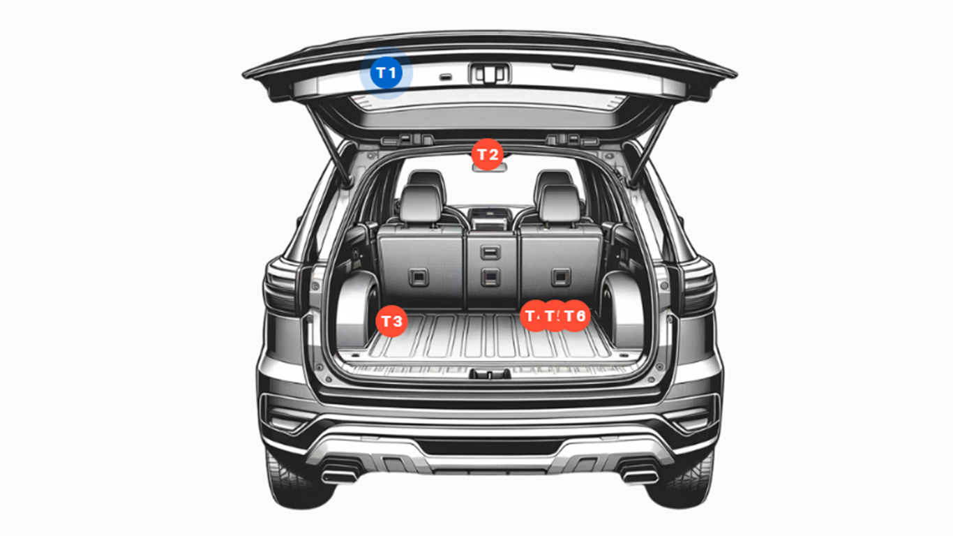 Interior and trunk customization